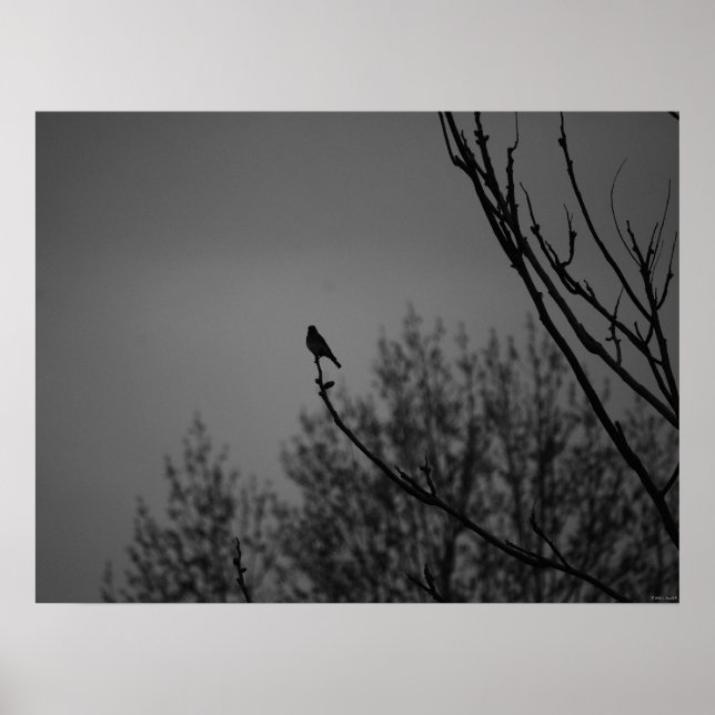 Twilight Bird Poster (Front)