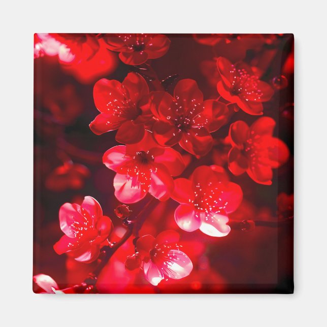 Twilight Cherry Blossom Glow Magnet (Front)