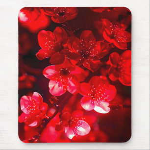 Twilight Cherry Blossom Glow Mouse Pad