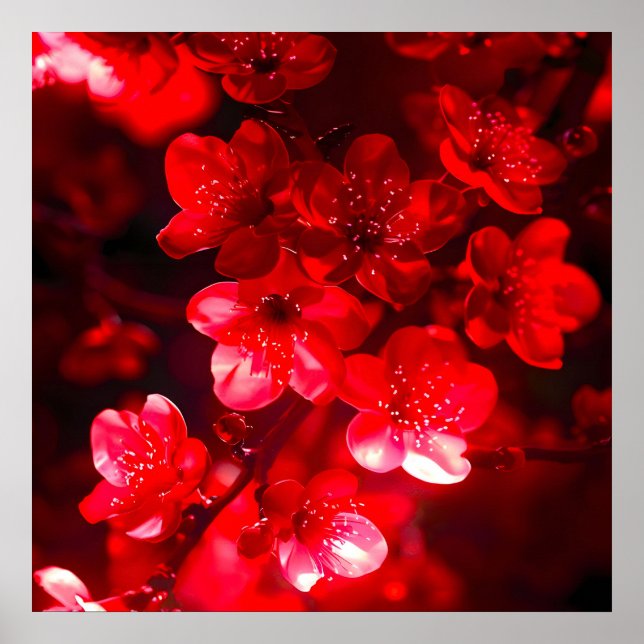Twilight Cherry Blossom Glow Poster (Front)