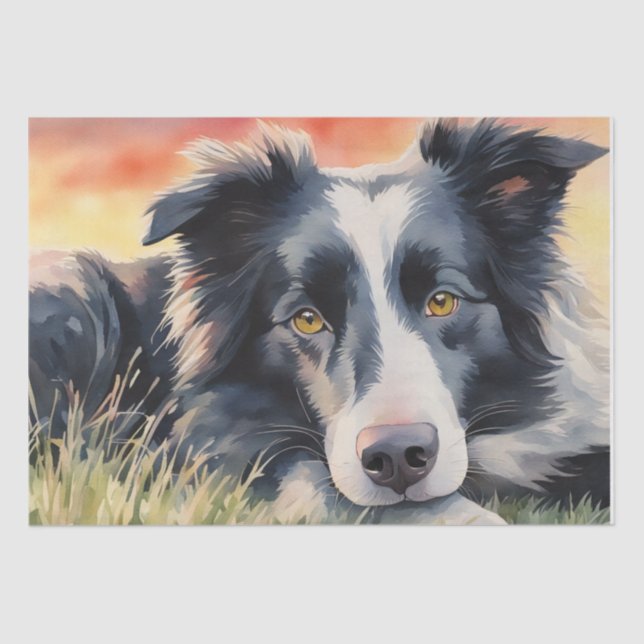 Twilight Harmony: Border Collie Decoupage Tissue Paper (Front)