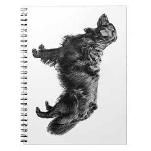 Twilight Leaf Journal