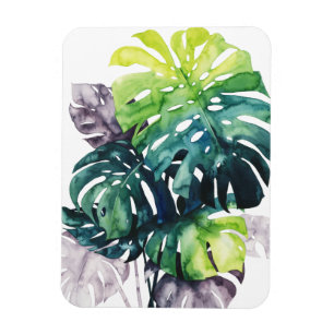 Twilight Palms - Split Leaf Magnet