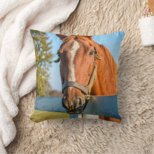 Twilight Rose Thoroughbred Race Horse Cushion