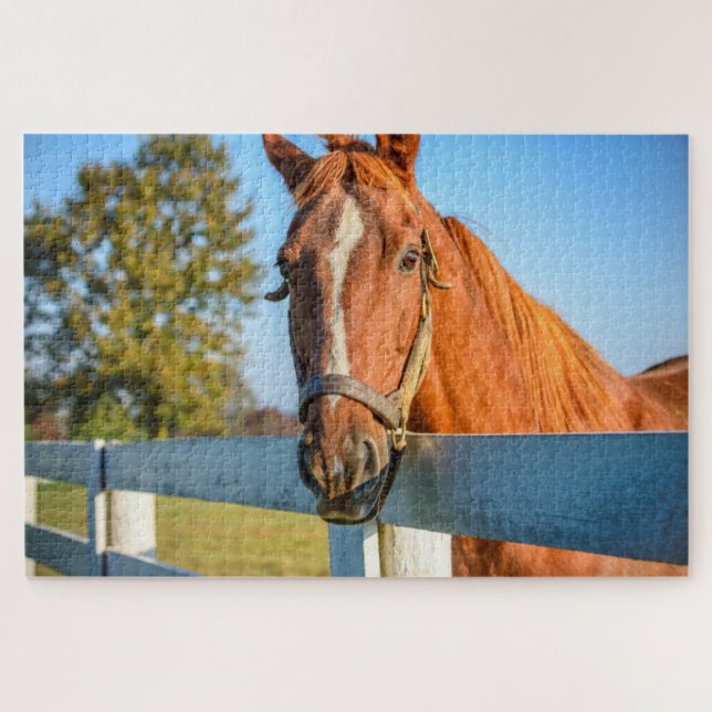 Twilight Rose | Thoroughbred Race Horse Jigsaw Puzzle (Horizontal)