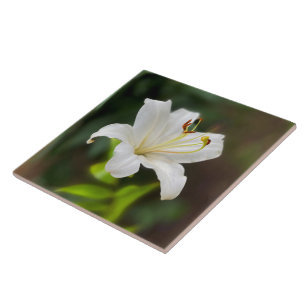 Twilight white lily ceramic tile