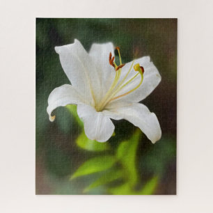 Twilight white lily jigsaw puzzle