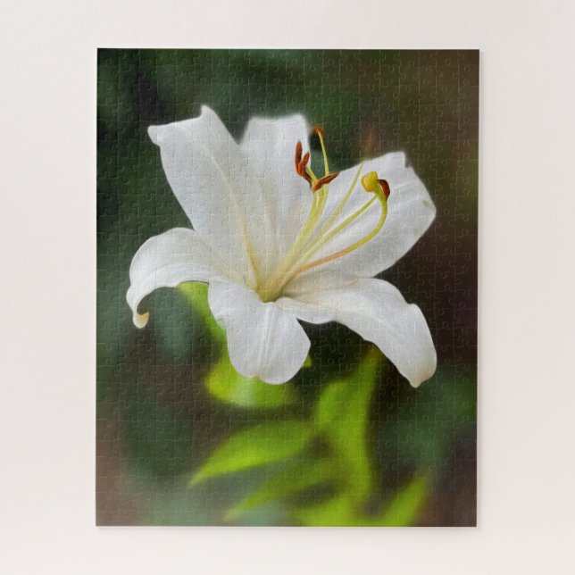 Twilight white lily jigsaw puzzle (Vertical)