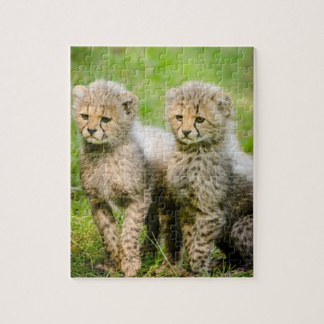 Twin Baby Cheetahs Jigsaw Puzzle (Vertical)