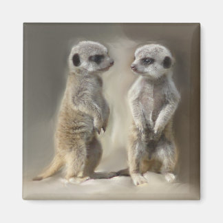 Twin baby Meerkats Magnet