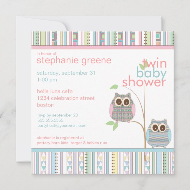 Twin Boy & Girl Baby Owl PInk & Blue Baby Shower Invitation (Front)