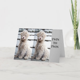 **TWIN BROTHER OR TWIN SISTER** BIRTHDAY CARD