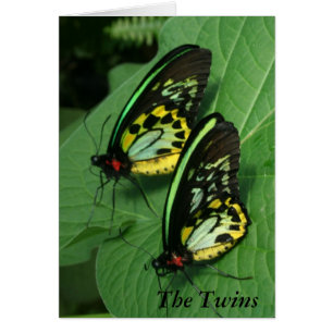 Twin Butterflies Card