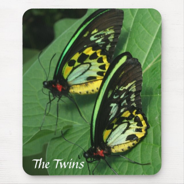 Twin Butterfly Mousepad (Front)