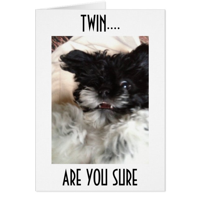 **TWIN**CONFUSED HAVANESE CAN'T BELEIVE YOU ARE 50 (Front)