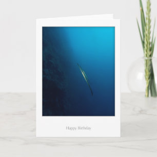 Twin Cornette Fish Birthday Card