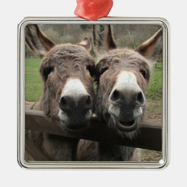 ****TWIN DONKEY PAIR**** ORNAMENT (Front)