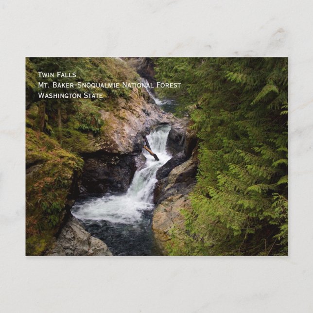 Twin Falls Postcard (Front)