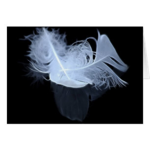 Twin flame feathers and reflection