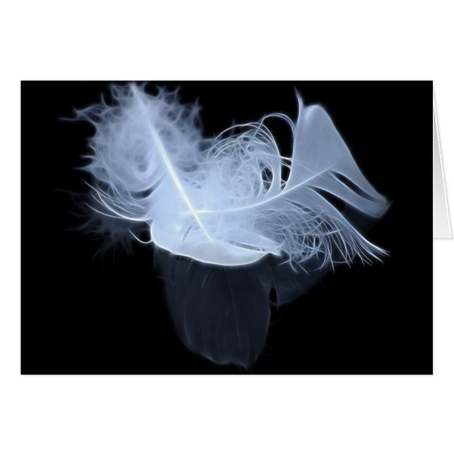 Twin flame feathers and reflection (Front Horizontal)