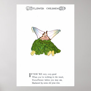 Twin-Flower Poster
