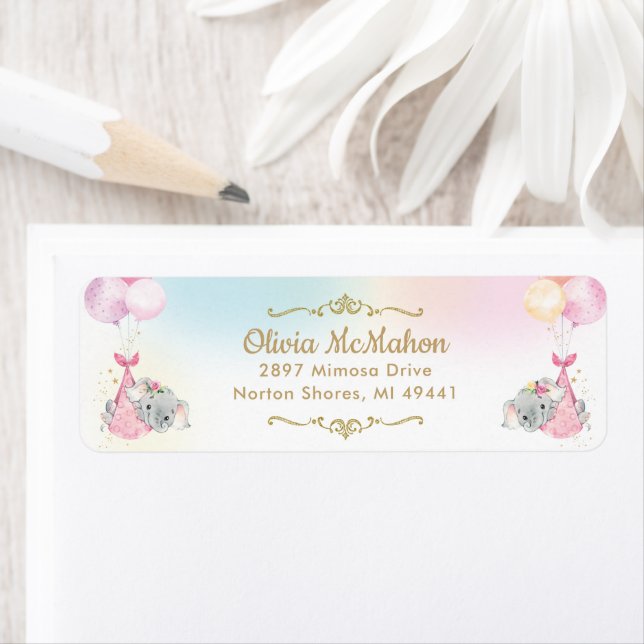 Twin Girls Elephant Baby Shower Return Address Label (Insitu)