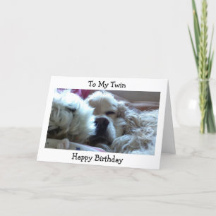 "TWIN" HAPPY BIRTHDAY-TAKE NAP/DO WHATEVER U WISH CARD