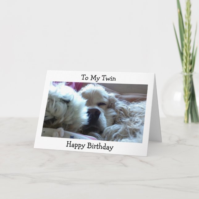"TWIN" HAPPY BIRTHDAY-TAKE NAP/DO WHATEVER U WISH CARD (Front)