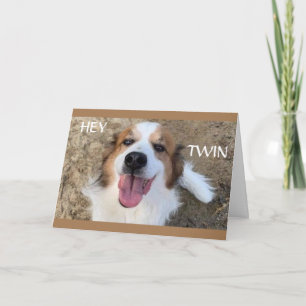 **TWIN** HAVE THE "BEST" BIRTHDAY YET! CARD