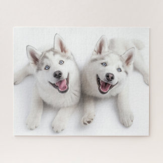 Twin Huskies Jigsaw Puzzle