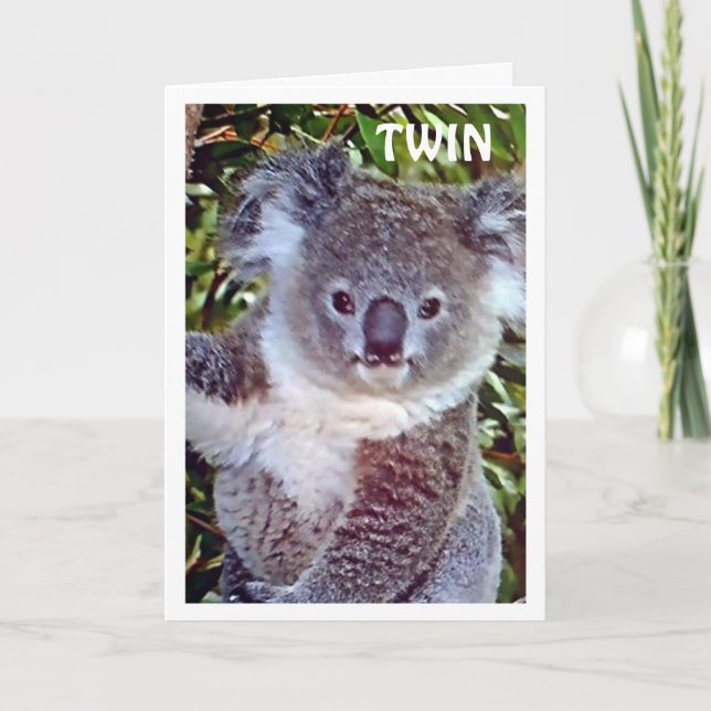 TWIN = "KOALA BIRTHDAY CARD CELEBRATE YOUR DAY! (Front)