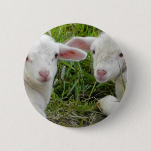 Twin Lamb Baby Animal Thinking Of You 6 Cm Round Badge