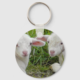 Twin Lamb Baby Animal Thinking Of You Key Ring
