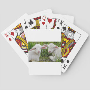 Twin Lamb Baby Animal Thinking Of You Playing Cards