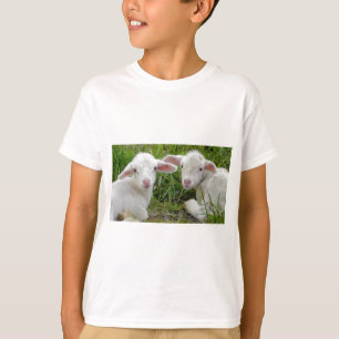 Twin Lamb Baby Animal Thinking Of You T-Shirt