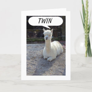 TWIN-LLAMA TELLS NO ONE HAS A BETTER TWIN THAN ME CARD