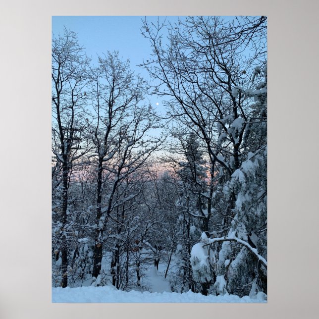 Twin Peaks Snowy Moon Poster (Front)