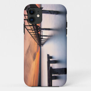 Twin Spits iPhone 11 Case