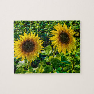 Twin Sunflowers Jigsaw Puzzle