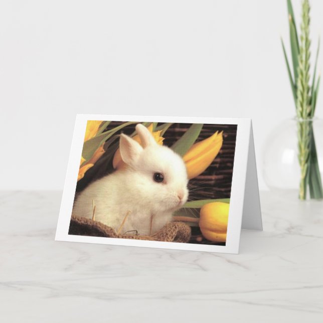 TWIN-THIS BUNNY SAYS HAPPY EASTER HOLIDAY CARD (Front)