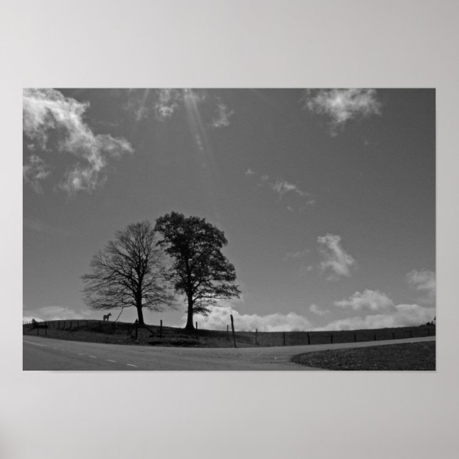 Twin Trees Mountain Meadow Poster (Front)