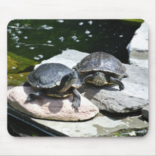 Twin Turtles - Mouse Pad