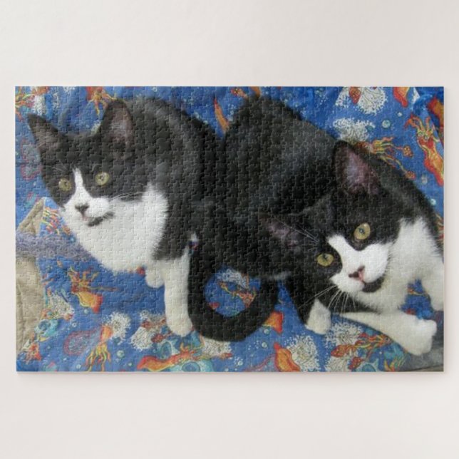 Twin Tuxedo Kitties Jigsaw Puzzle (Horizontal)