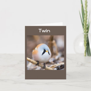**TWIN** TWEETING HAPPY BIRTHDAY  CARD