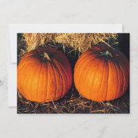 Twin Vintage Pumpkins