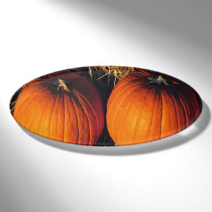 Twin Vintage Pumpkins Name Tag
