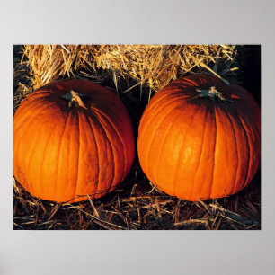 Twin Vintage Pumpkins Poster