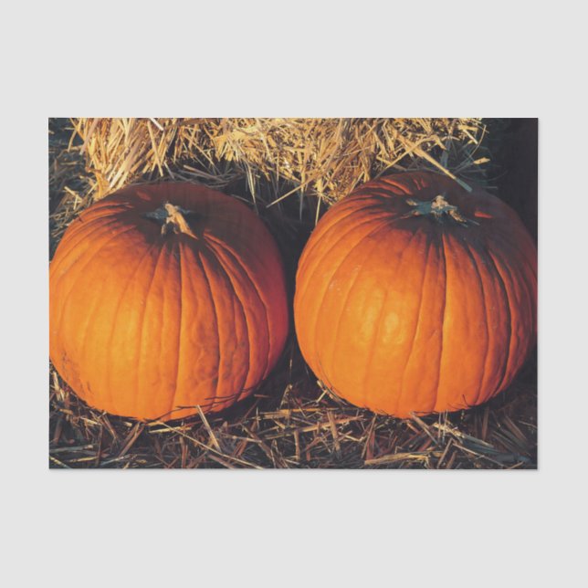 Twin Vintage Pumpkins  Tissue Paper (Front)