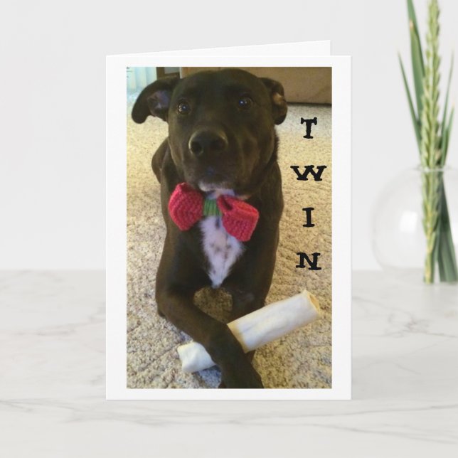 TWIN-WANT TO SAY HAPPY BIRTHDAY AND ENJOY! CARD (Front)