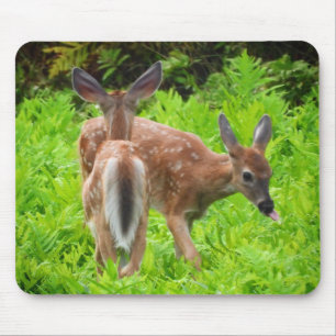 Twin White Tail Deer Fawns Mouse Pad